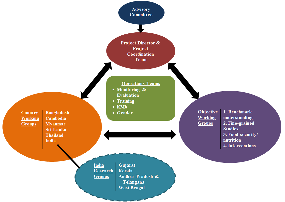 diagram-dried-fish-matters