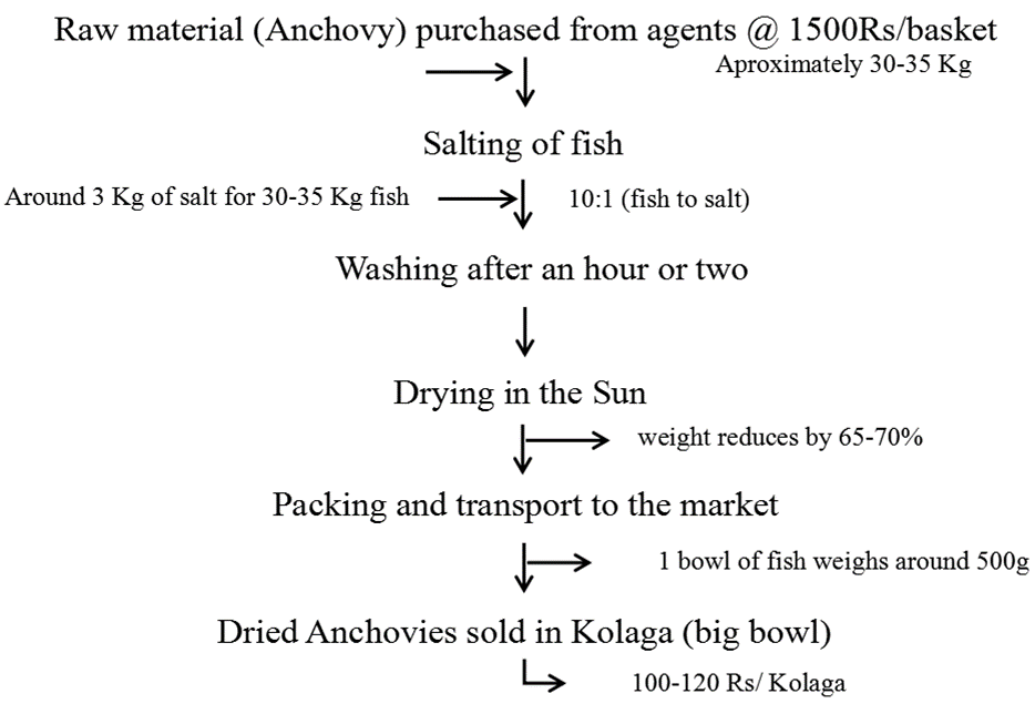 Weights, measurements and prices in the dried anchovies supply chain at Honnavara.