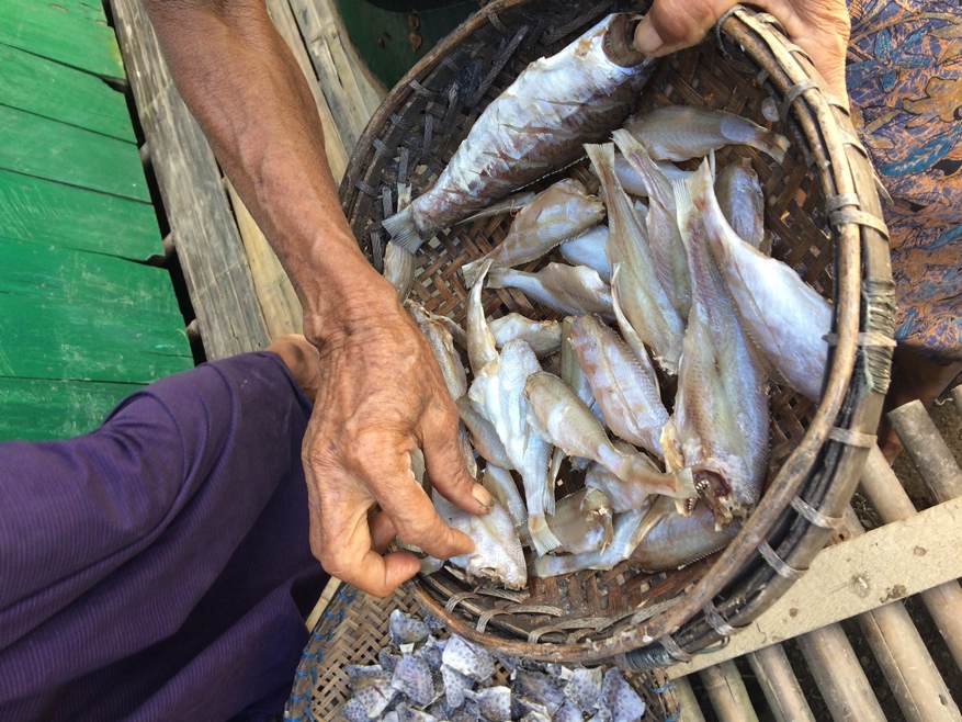 Myanmar Dried Fish Consumption Survey