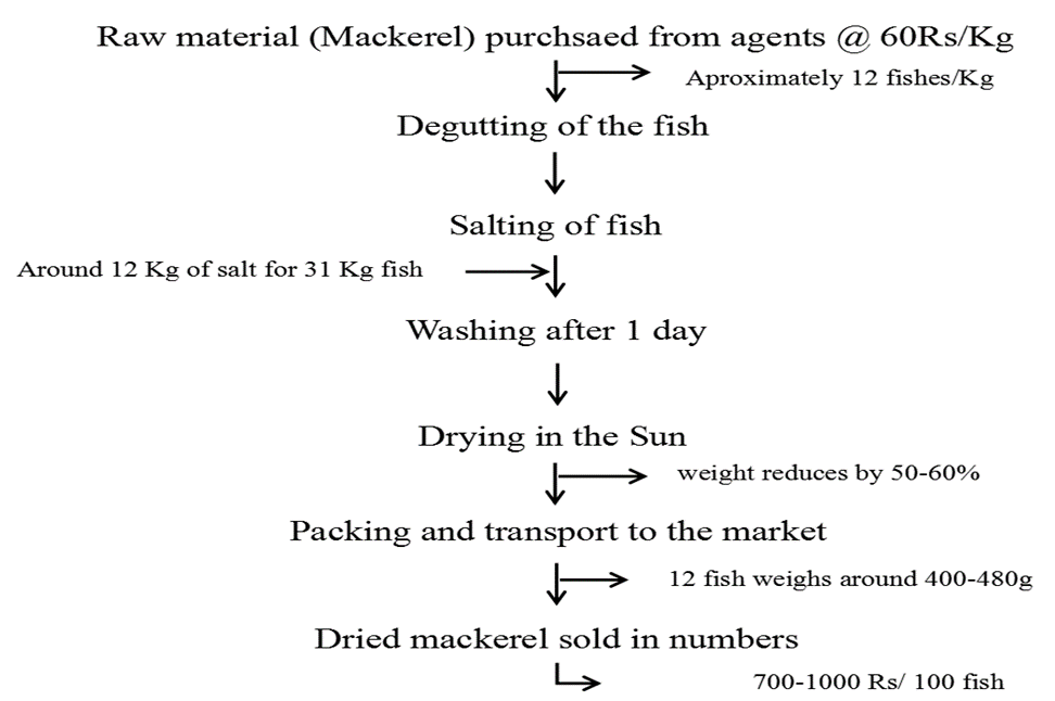 Weights, measurements and prices in the dried Indian mackerel supply chain