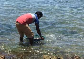 A man washing salted fish in the ocean, Sri Lanka.jpg