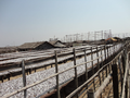 Fish drying at Cox's Bazar.png