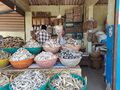 A shop selling dried fish in Gonikoppa, Kodagu.jpg