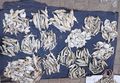 An assortment of dried fish for sale.jpg
