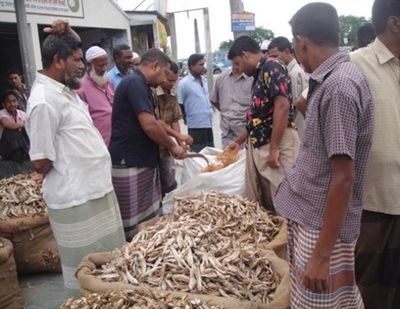 Fish auction in Bangladesh.jpg