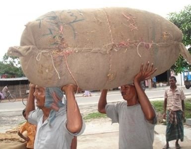 Fish transport to retail market.jpg