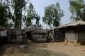 Cox's Bazar trial fieldwork DJ 19.jpg