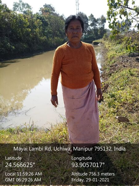 File:Manipur fish processor - WA0049.jpg