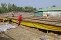Cox's Bazar trial fieldwork DJ 07.jpg