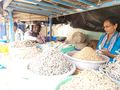 A woman dried fish seller in Hubballi.jpg
