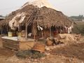 DFYWA scoping fieldwork 223.jpg