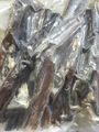 Vacuum packed 'organic' dry fish on dispay in a retail shop.jpg