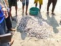 Cox's Bazar trial fieldwork DJ 04.jpg