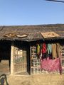 Fishes are dried in the household by the fisherwomen.jpg