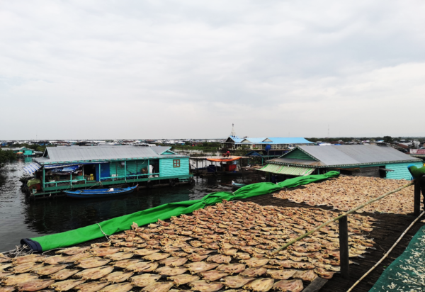 Cambodia floating village.png