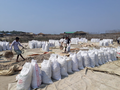 Fishmeal at Cox's Bazar.png