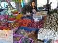 Mrs Laltanpuii, dry fish seller, Kolasib.jpg