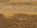 DFYWA scoping fieldwork 182.jpg