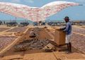 Dried fish market, Negombo, Sri Lanka.jpg