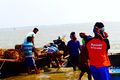 Small-scale fishers with the fresh capture.jpg