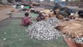 DFYWA scoping fieldwork 246.jpg