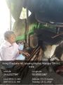 Manipur fish processor - WA0144.jpg