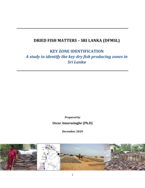 DFM RPT LKA-Key-zone-study-cover.png