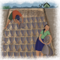 Dried fish value chain drawings- drying fish.png