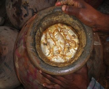 Fermented phaisa (anchovy).jpg