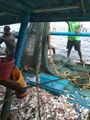 DFYWA scoping fieldwork 28.jpg