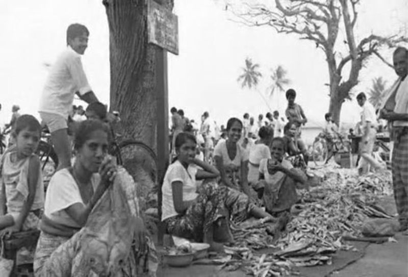 File:Dried fish market, Negombo 1980s.jpg