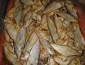 Fermented fish, Bangladesh.jpg