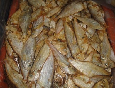 Fermented fish, Bangladesh.jpg