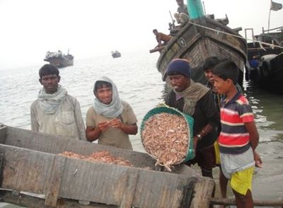 Fish landing Bangladesh.jpg