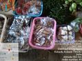 Dried fish market at Kolasib - 49.jpg