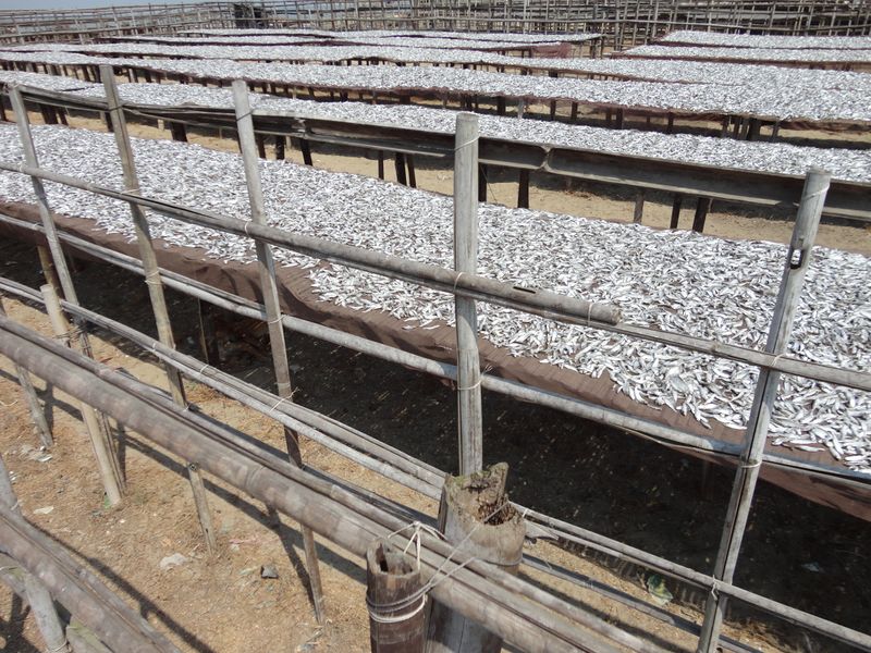 Nazirartek fish drying racks.jpeg