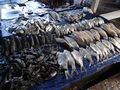 MM - Fresh fish stall.jpg