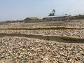 Fish drying on bamboo mats on raised platforms.jpg