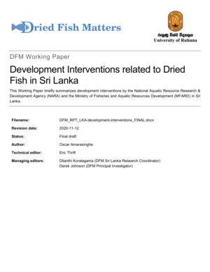 DFM RPT LKA-development-interventions cover.png