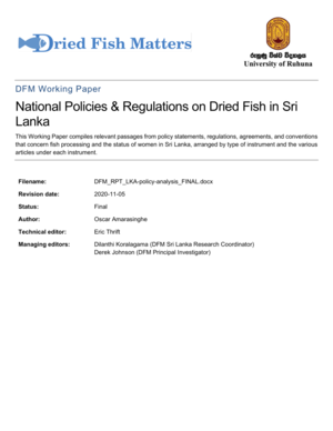 DFM RPT LKA-policy-analysis cover.png